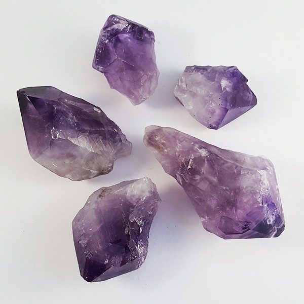 Selection of rough Amethyst Teeth (Large), in a circle pointing outwards. On a white background.