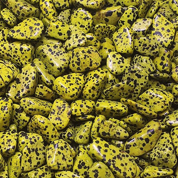 Close up of Dalmatian Stone Yellow