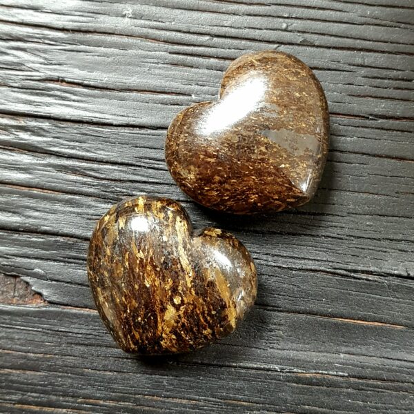 Two Bronzite Hearts, flecks of yellow, brown and gold, on a dark wooden board