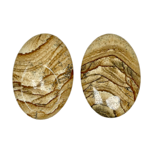 Two Kalahari Picture Stone Thumb Stones - brown with black veining and cream banding - on a white background