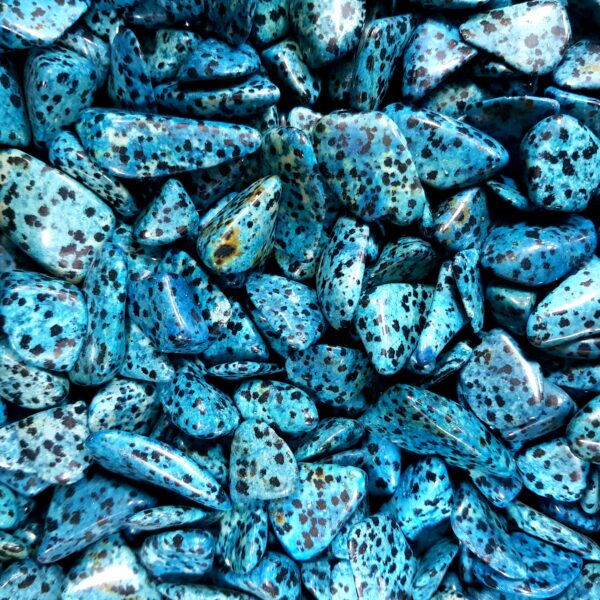 Close up of Dalmatian Stone Blue