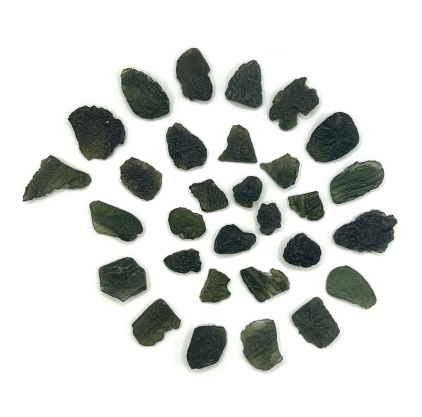 Moldavite Specimen chunks in snail shell shape (olive green rocks with a textured appearance) on a white background