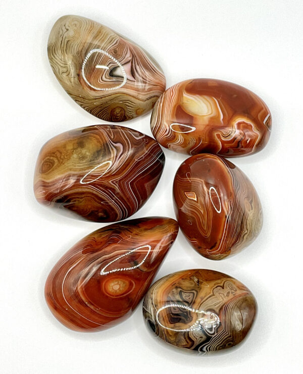 Group of Striped Agate Pebbles (red with cream and white lace patterns, or banding) on a white background