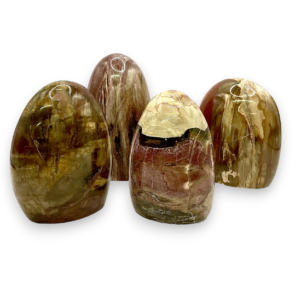 Group of domed freeforms - banded pink, cream, and brown petrified wood - on a white background