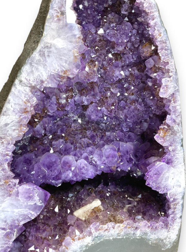 Amethyst Cave (H) close up - half of a giant geode with purple points - on a white background
