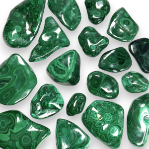 Pieces of polished malachite in freeform shapes - light green stone with banding and circles of vibrant dark greens - on a white background