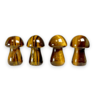 Four Tiger Eye Mushrooms in a row - brown and gold banding - on a white background