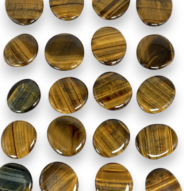 Group of Tiger Eye A Grade Pocket Stones - gold, brown and black banded circular stones - on a white background