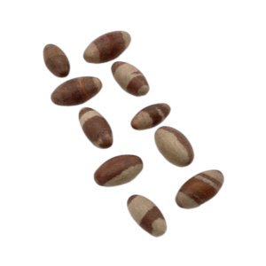 Group of Shiva Lingham 1 (Bag Of 10) Rough Specimen - shades soft brown